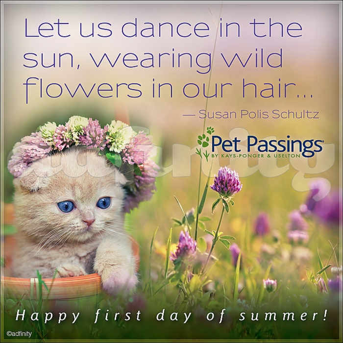 061504 Happy First Day of Summer! Susan Polis Schultz quote Facebook meme.jpg